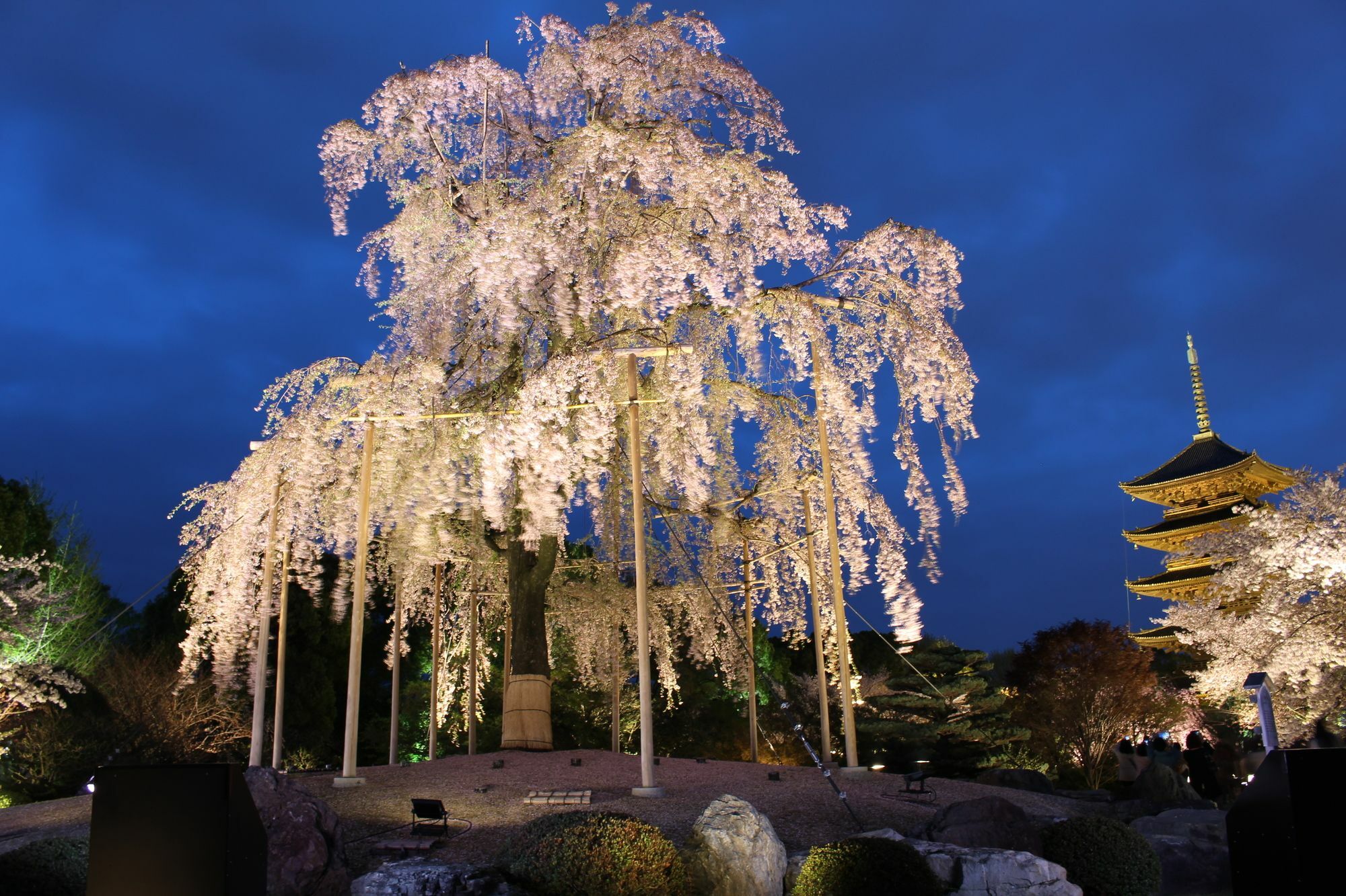 Stay Sakura Kyoto Toji West I Exterior photo